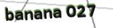 CAPTCHA Text